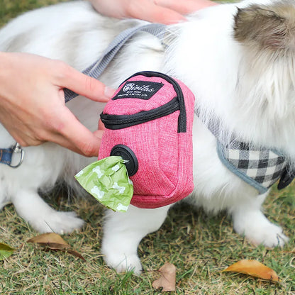 Functional Pet Carrier Bag